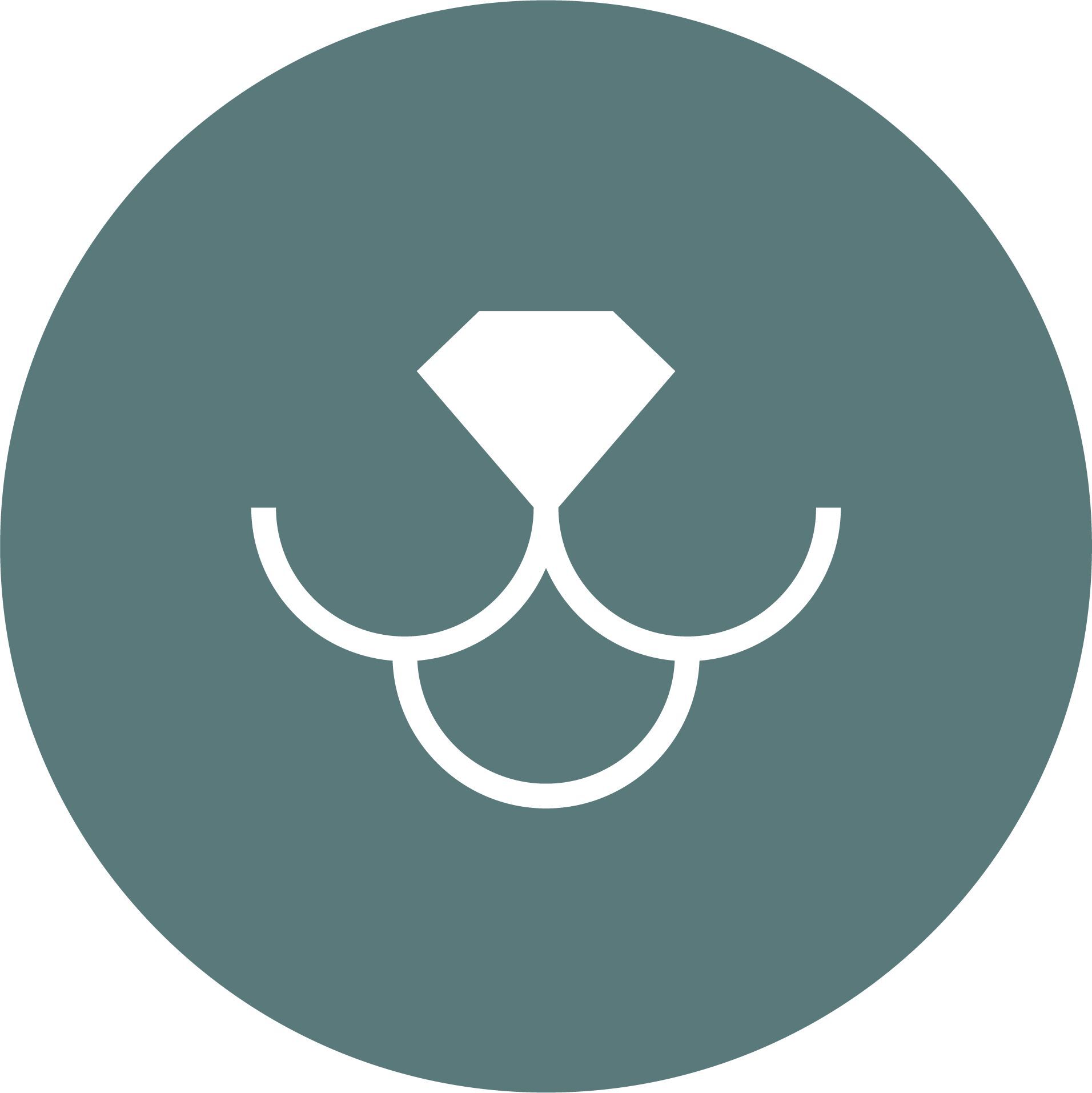 LUKSUSHUND - De aktive poter🐾 logo