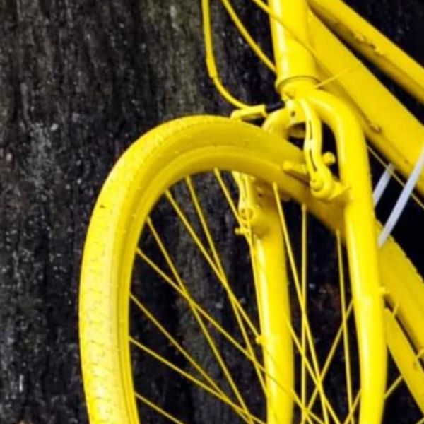 ØS biking logo